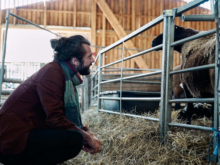 Schäfer:innenbesuch in Magstadt